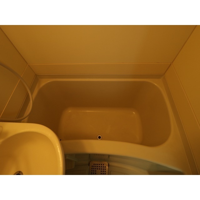 前回募集時の画像です